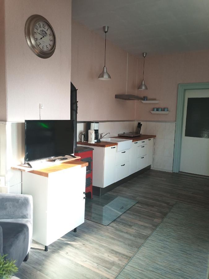 Bed and Breakfast Zur Friedrichsruh Oelsnitz  Екстер'єр фото