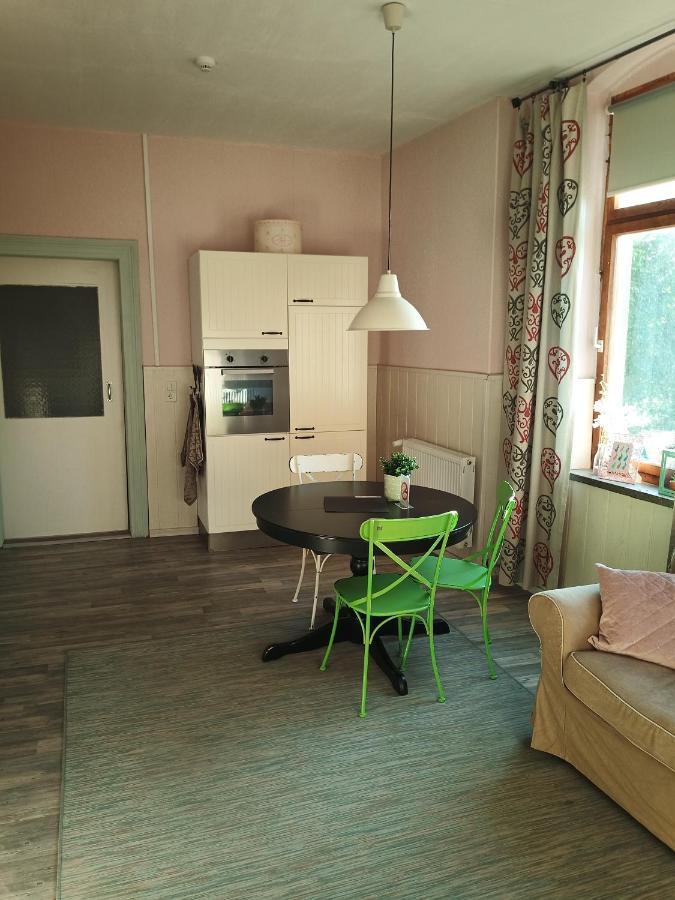 Bed and Breakfast Zur Friedrichsruh Oelsnitz  Екстер'єр фото