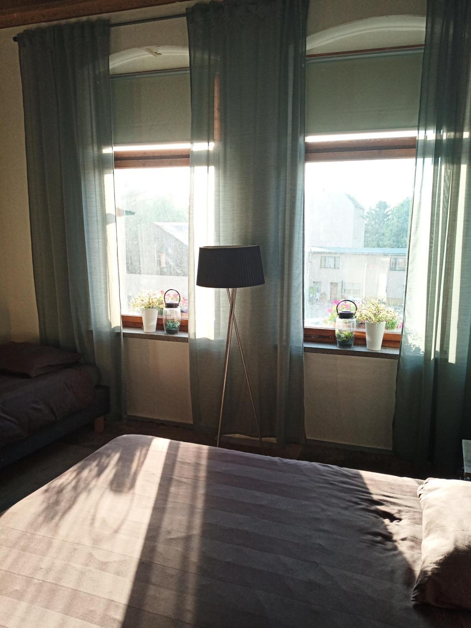 Bed and Breakfast Zur Friedrichsruh Oelsnitz  Екстер'єр фото